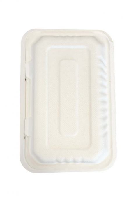 Take-away Box Zuckerrohr 2-geteilt 22,5 x 15,3 x 8,0cm